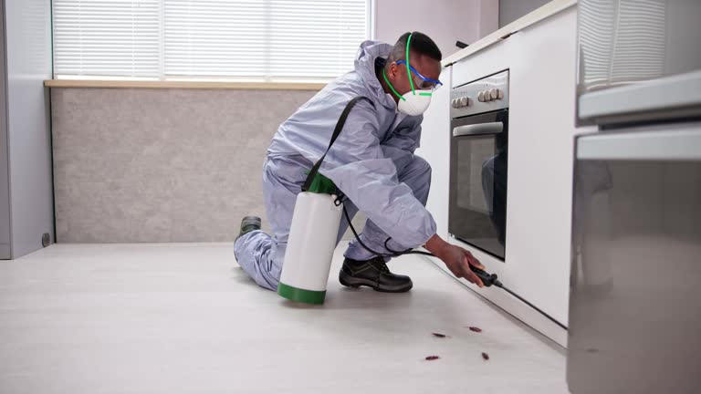 Real Estate Pest Inspections in Weedsport, NY